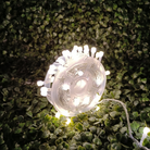 Gel Wire LED Series String Lights | Warm White Chronos Lights