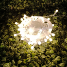 Gel Wire LED Series String Lights | Warm White Chronos Lights