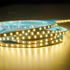 Waterproof Warm White 5mm LED Strip – 120 LEDs/m, 12V – Soft & Stylish
