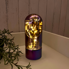 Glass Table Lamps with Fairy Lights | Bell Jar Top
