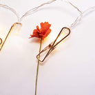 Rose Gold Photo Clips Lights - Warm White LED Chronos
