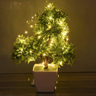 Fairy Lights - USB + Battery Operated - Chronos