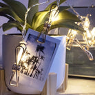 Gold Photo Clips Lights - Warm White LED Chronos