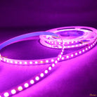 LED Strip Light 2835 SMD LED 120 LED Per Meter Pink | Chronos lights