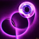 LED Strip Light 2835 SMD LED 120 LED Per Meter Pink | Chronos lights