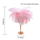 Feather Tree Pink WW | Chronos