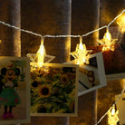 Star Photo Clip Lights - 3AA Battery Operated | Warm White LED - Chronos