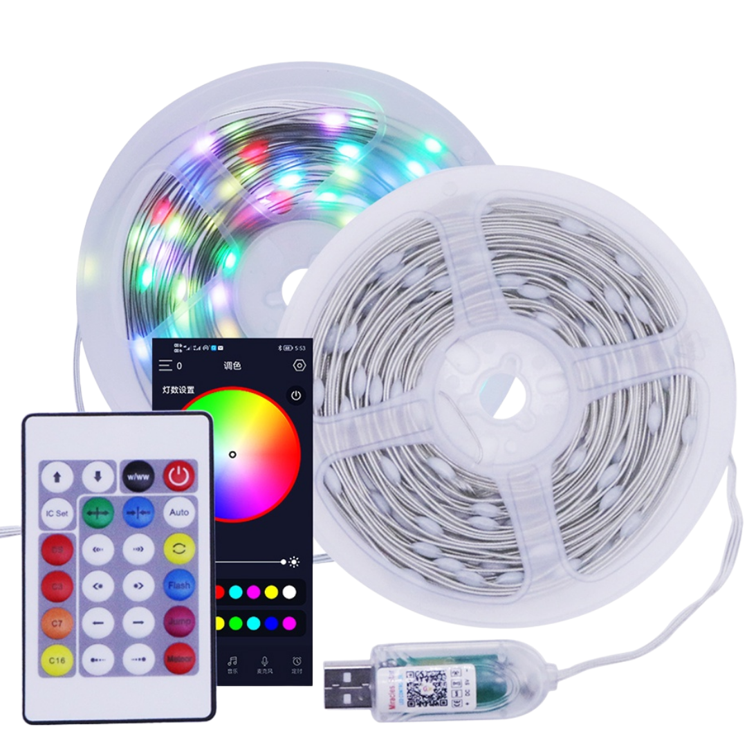 Smart Pixel RGBIC LED Fairy Lights USB Powered | Remote Controller & Smart App