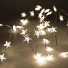 Copper Wire Fairy LED String Lights - Star Chronos