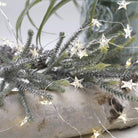 Copper Wire Fairy LED String Lights - Star Chronos