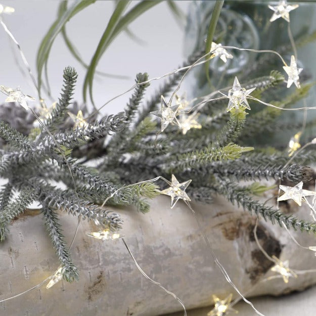 Copper Wire Fairy LED String Lights - Star Chronos