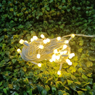 White Wire Fancy Decorative Series Lights