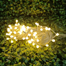 White Wire Fancy Decorative Series Lights