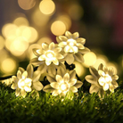 LED Daisy Flower Decorative String Light - Warm White Chronos Lights