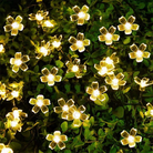 Sakura Flower Decorative String Lights - Warm White Chronos Lights