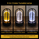 KEPI Arch dimmable LED table lamp with adjustable brightness and cordless rechargeable design