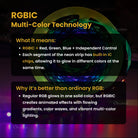 RGBIC controller box shown on its own against a plain background