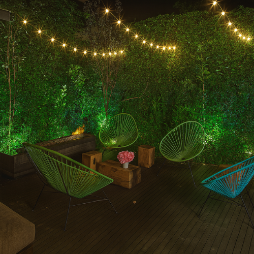 Fairy lights for Diwali and Christmas festive decoration
