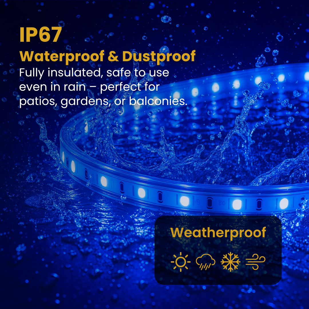 Flexible LED rope lights for garden décor, pathways, and creative installations – Chronos Lights