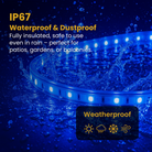 Flexible LED rope lights for garden décor, pathways, and creative installations – Chronos Lights