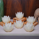 Lotus-shaped LED Tealight Candles with color-changing glow – Elegant décor for Diwali, Ganpati, and parties