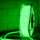 Outdoor LED Rope Lights 2835 – Bright festive lights for Diwali decoration – Chronos Lights