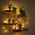 LED fairy lights with 6 hour timer and auto off function
