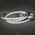 RGB W LED Strip Lights | chronos lights