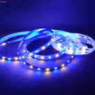 RGB WW LED Strip Lights | chronos lights