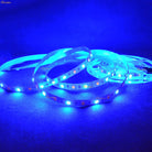 RGB WW LED Strip Lights | chronos lights