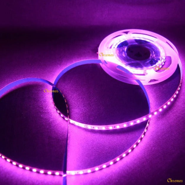 LED Strip Light 2835 SMD LED 120 LED Per Meter Pink | Chronos lights