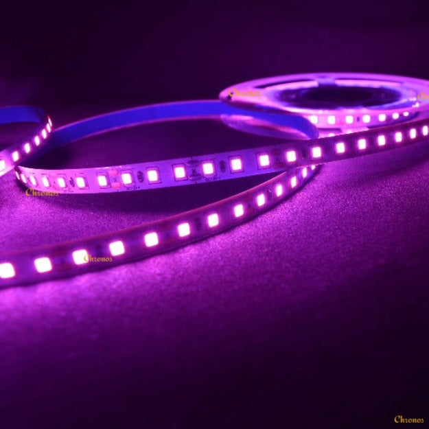 LED Strip Light 2835 SMD LED 120 LED Per Meter Pink | Chronos lights