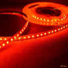 LED Strip Light 2835 SMD LED 120 LED Per Meter Red | Chronos lights