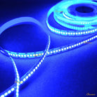 LED Strip Light 2835 SMD LED 240 LED Per Meter Blue | Chronos lights