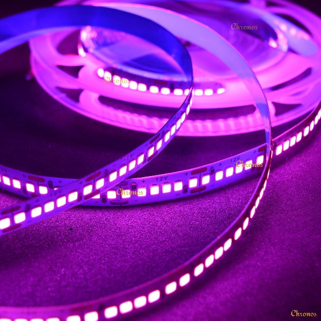 LED Strip Light 2835 SMD LED 240 LED Per Meter Pink | Chronos lights