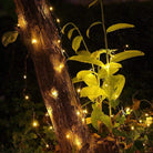 Fairy Lights - 3AA Battery Operated | Remote Control | IP44 Waterproof Chronos