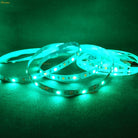 RGB WW LED Strip Lights | chronos lights