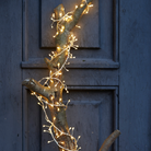 Cluster Fairy Lights | Warm White